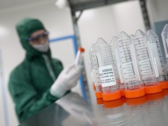 Названы сроки появления лекарства от COVID-19 в российских больницах