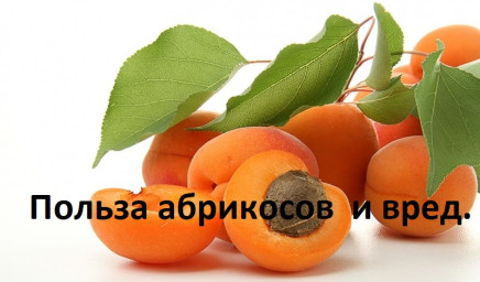 ​Польза абрикосов