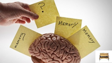 Советы по тренировки памяти, как развить память